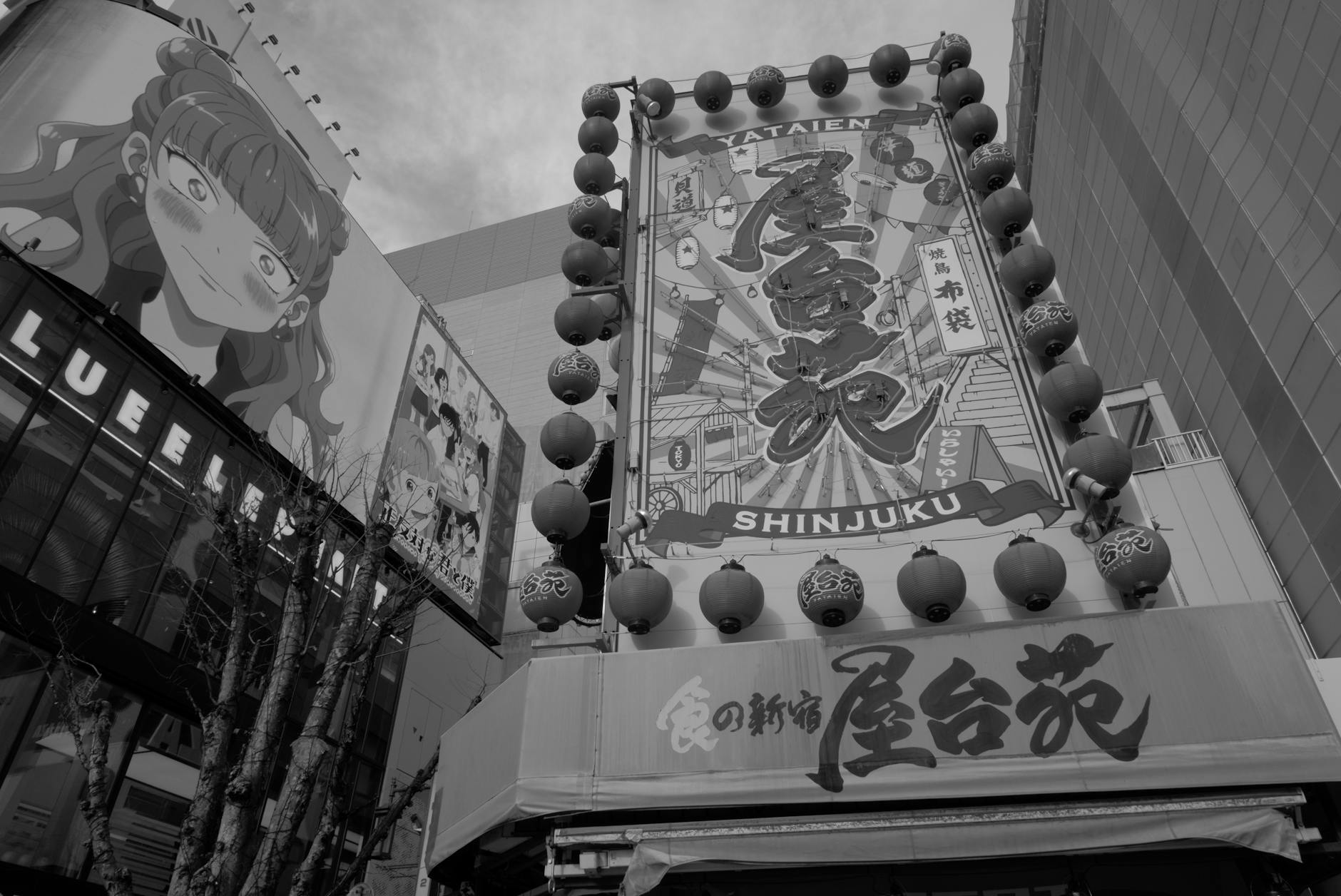 新宿でランチを楽しむ魅力